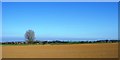 Ploughed field near Repps, Norfolk (2) in NR29 4RB