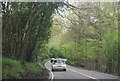 A264 in the woods in RH19 3QD