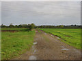 A Farm Track in Brandon Parva, Coston, Runhall and Welborne