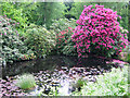 Pond in Highwood Gardens, Drax Estate in BH20 7EN