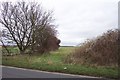 Oxfordshire hedgerow in OX18 4EU
