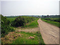 Track from Mapperton Farm in DT11 9ER