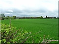 Farmland, Tendring Green in CO16 0DJ