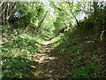 Public access route from Terwick Common to the A272 in GU31 5EE