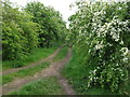 Footpath to Harmony Wood in B47 5EG