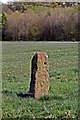 Standing Stone, Arrowe Park in CH61 3XJ
