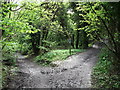 Bridleway junction near Gravelly Hill in CR3 6EG