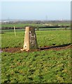 Grange Farm triangulation pillar in B79 9DL