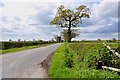 Leathersley Lane towards Sudbury from the entrance to Maidensley Farm in DE6 5HR