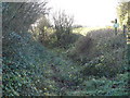 Footpath from Stapleton Farm in SP6 3JF