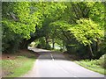 Leafy lane at Minstead in SO43 7GF