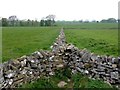 Y-junction drystone walls in DE45 1QX