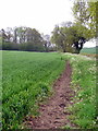 Bridleway goes into Shrobb Spinney in MK19 6BD
