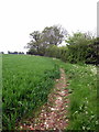 Footpath towards Deanshanger in MK19 6JH