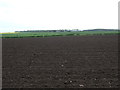 Farmland towards Queenstonbank in EH39 5AG