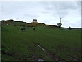 Grazing land near Sydserf in EH39 5JJ