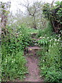 Steps up to the towpath in MK19 7DF