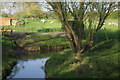 River Avon, by North Kilworth Mill Farm in LE17 6HD
