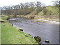 The River Wharfe below Grass Wood in BD23 5BT