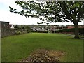 Green space, Balcurvie in KY8 5SS