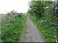 Path, Balcurvie in Kennoway