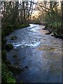 River Yealm in Rough Torrs in PL8 2JR