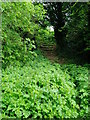 Stairway to old canal route in PO22 9PH