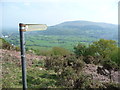Footpath down off Mynydd Llanwenarth in Abergavenny Community