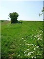 Footpath to Peasemore in RG20 7DF