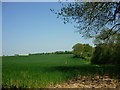 Fields between Peasemore and Beedon in RG20 8SW