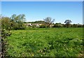 Meadows next to the A30, looking towards North Waterhayne Farm in EX14 9AX