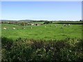 Grazing land next to the A30, looking towards Whitestaunton in TA20 3DQ