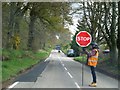 Tree surgery holds up the traffic near Balmore in IV2 6DL