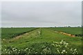Dry Drain off Croft Marsh Lane in Croft