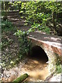 Footbridge in Claypit Wood in GU10 5EA