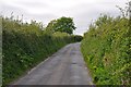 North Devon : Country Road in EX17 4SW