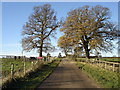 Farm road off Church End Lane in GL20 6JS