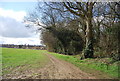 The edge of Hall Wood in ME5 8SH