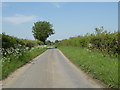 Hartest Lane, heading towards Lawshall in IP29 4PS