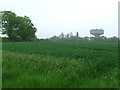 Boyton Hall Water Tower in CB9 7LW