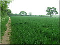 Footpath And Field in CB9 7PG