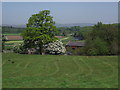 Farm land above the Ribble in BB6 8FA