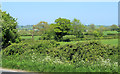 2012 : North east from the A37 in BA4 6SZ