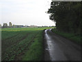 The Road To Hockering in NR9 5FW