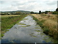 Yeo upstream from Moor Bridge, Congresbury in BS49 5ED