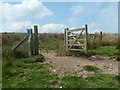 Fence and gateway on rough grassland and moorland in SY18 6SL