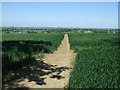 Footpath over fields towards Queniborough in LE7 3GD