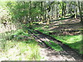 The Cateran Trail at Bamff in PH11 8LF