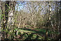 Coppicing, Bashurst Copse in RH13 0NU