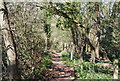 West Sussex Literary Trail, Bashurst Copse in RH13 0NU